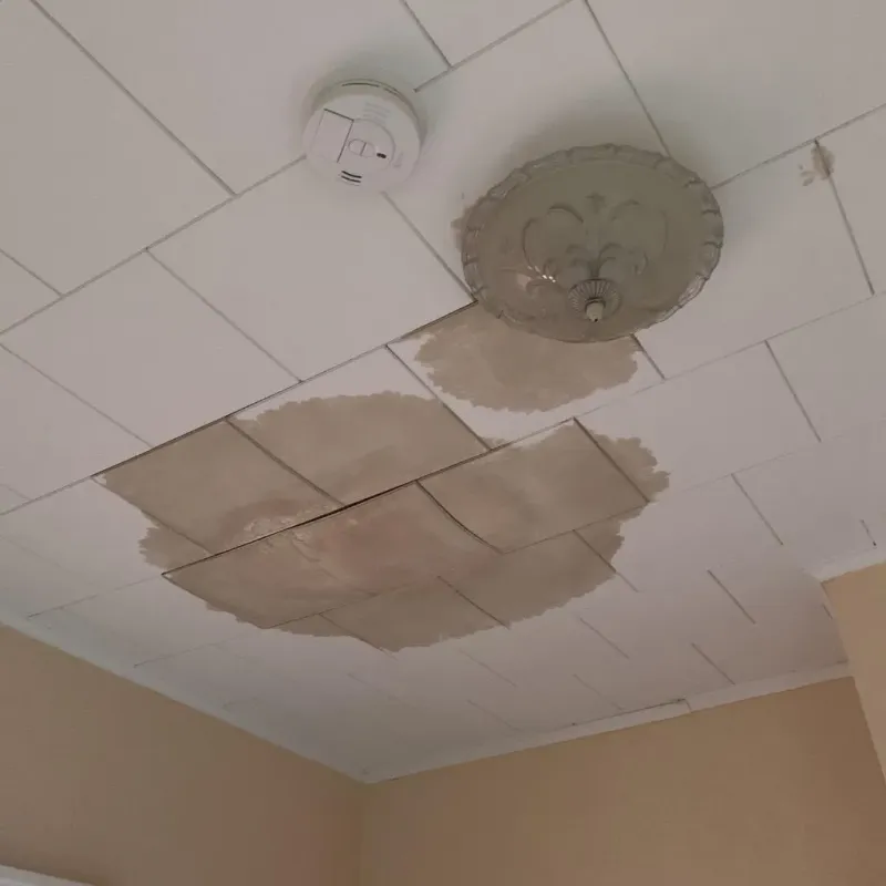 Ceiling Water Damage Repair in Calhoun County, MS