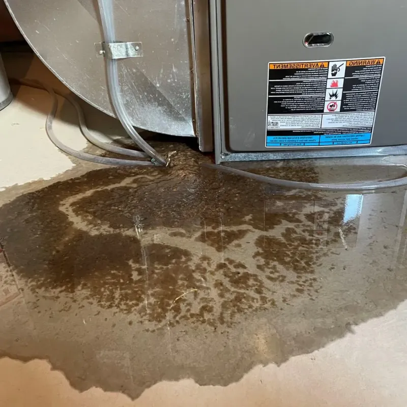 Pipe Burst and Leak Restoration in Calhoun County, MS
