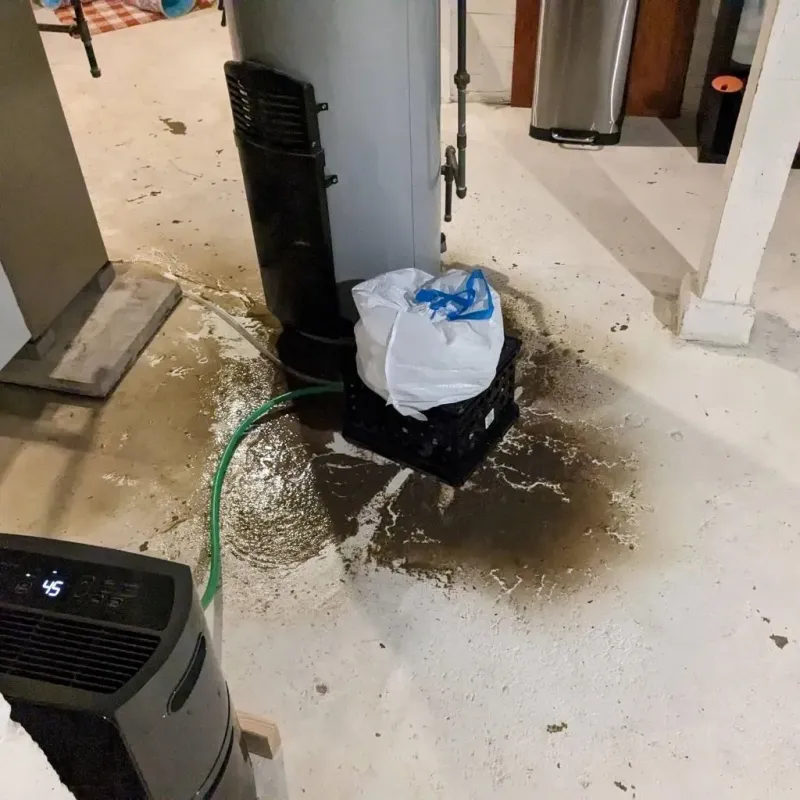 Sewage Backup Cleanup Service in Calhoun County, MS